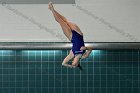 Women's Diving  Wheaton College Women’s Diving vs Mount Holyoke College. - Photo by Keith Nordstrom : Wheaton, Swimming & Diving